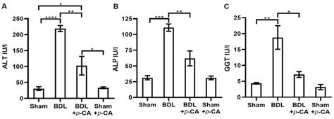 Evaluation Of Serum Markers Of Liver Damage In The Bdl Model A Alt