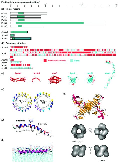 Striking Sequence And Structural Features Of Apolipoproteins And