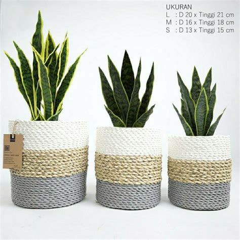 Vas Bunga Cover Pot Isi Keranjang Anyaman Seagrass Isi Lazada