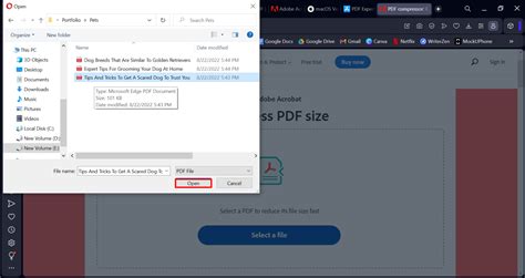 How To Make A Pdf Smaller On Windows Mac Android Ios