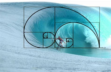 Sequência De Fibonacci Na Arte Revoeduca