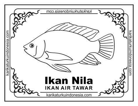 Detail Cara Menggambar Ikan Nila Koleksi Nomer 8