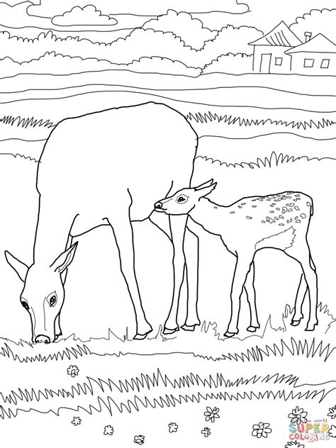 Mother and Baby Elk coloring page | Free Printable Coloring Pages