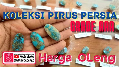 Pirus Pyrus Turquoise Persia Berbagai Ukuran Dan Urat Murah YouTube