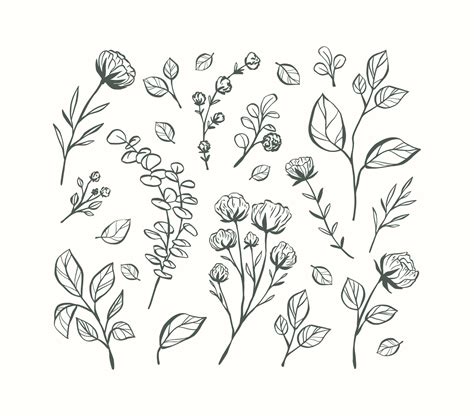 Hand Drawn Flowers Vector Best Flower Site