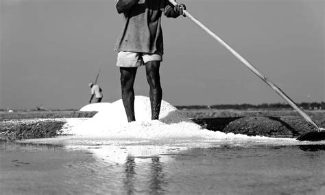 Marakkanam Salt Fields Flickr