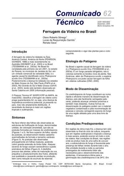 Ferrugem Da Videira No Brasil Embrapa Uva E Vinho