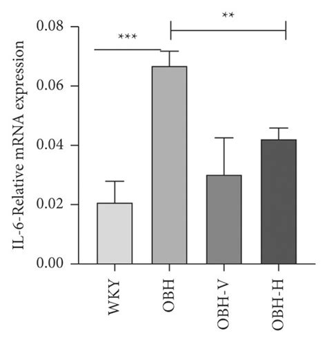 A The Protein Expression Of Sirt Ac Nf B Nf B And Il