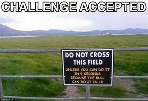 Funny memes of the Challenge Accepted social media trend | Daily Mail Online