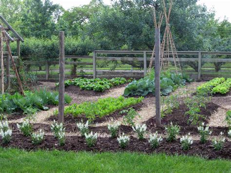 5 Mistakes Gardeners Make In Their Vegetable Gardens