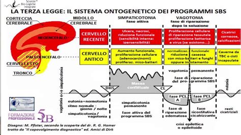 La Terza Legge C Crescita E Crescita Mark Pfister Leggi