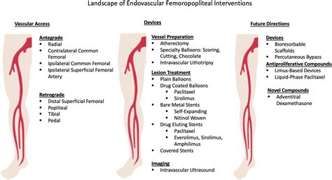 State Of The Art Endovascular Therapies For The Femoropopliteal Segment