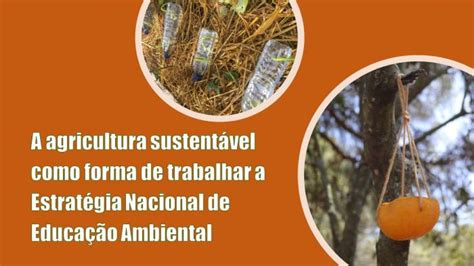 A Agricultura Sustentável Como Forma De Trabalhar A Estratégia Nacional