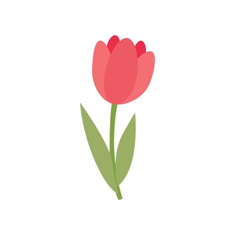 Premium Vector Hand Drawn Cute Spring Tulip Flower