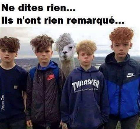 coiffure lama Image animé