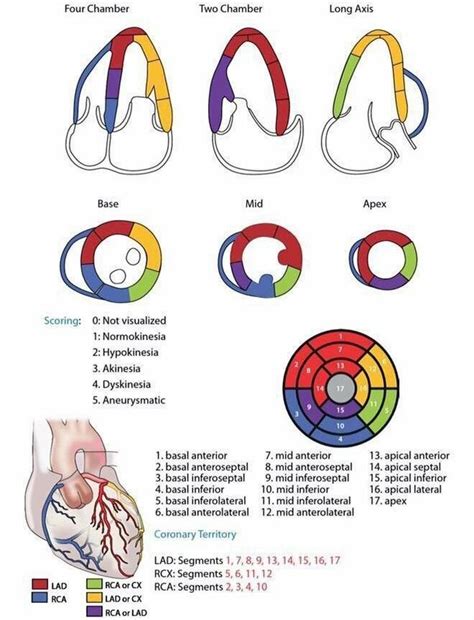 Medical Professionals Total Em