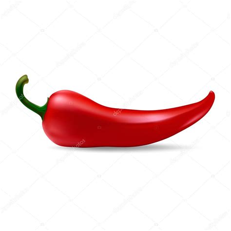 Vector Red Chilli Pepper Stock Vector Image By ©gomolach 104740438