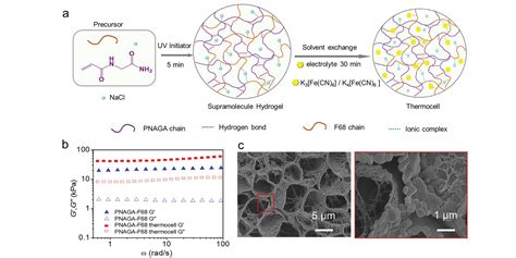 Double Hydrogen Bonding Reinforced High Performance Supramolecular