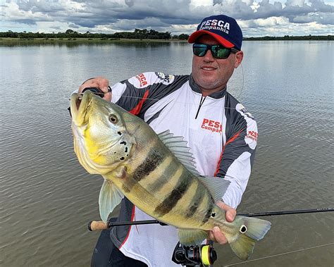 Como Pescar O Tucunar Nos Dias Do Ano Revista Pesca Companhia