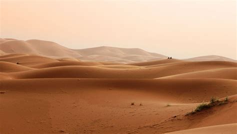 Cómo Se Forman Los Desiertos Aquí hay una Explicación Completa