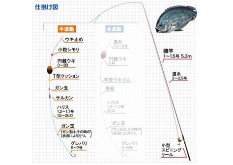 フカセ釣り初心者講座！基本の仕掛け作りと釣り方のコツ・テクニックを解説！ 釣りのポイント