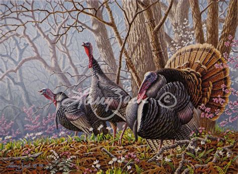 1995 Arkansas Turkey Stamp – Larry Zach Wildlife Art