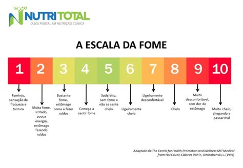 Entenda A Escala Da Fome E Saciedade Blog Vhita