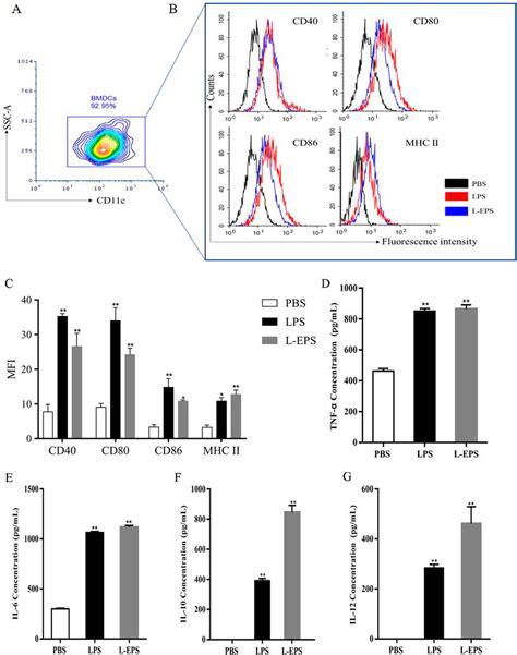 Effects Of L EPS On The Expression Of Cell Surface Molecules In BMDCs