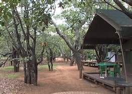 Letaba Rest Camp Accommodation Kruger National Park