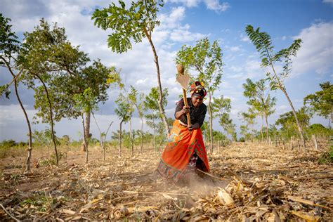 Inclusive Agribusiness Transforming The Landscape For Women And Youth