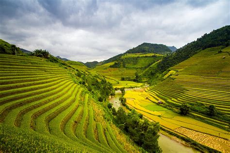 Rice Terraces Photograph by Giang Hai Hoang - Pixels