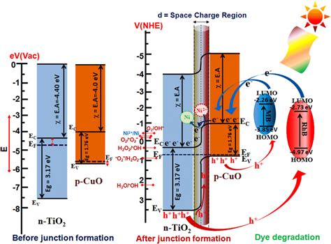 Energy Band Diagram For TiO2 CuO Heterojunction Before And After