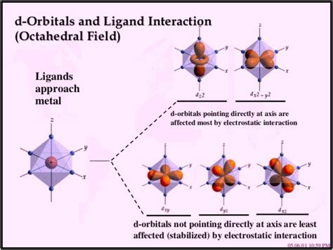 d-Orbitals and Ligand Interactions using Octahedral field [19] | Download Scientific Diagram