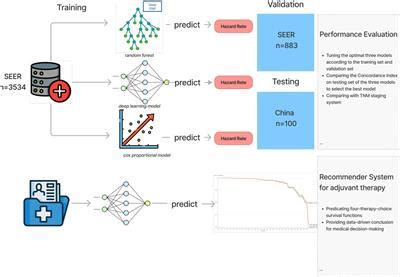 Frontiers Development And Validation Of Machine Learning Models To