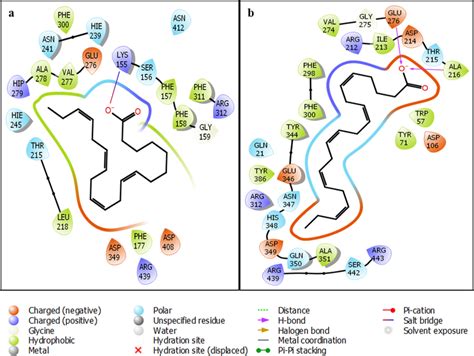 The interactions constructed between compounds 6 (a) and 11(b) and... | Download Scientific Diagram