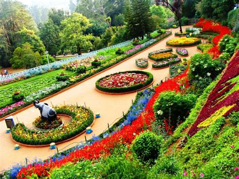 ooty-rose-garden | OSR Vacation