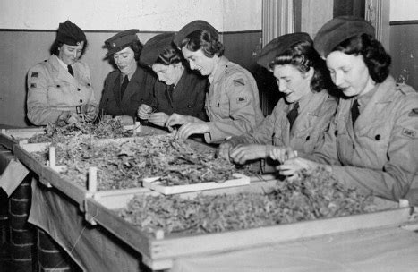 The Role Of Women During The Ii World War In England Screen On