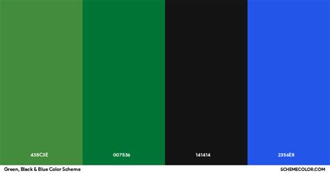 Green, Black & Blue Color Scheme » Black » SchemeColor.com