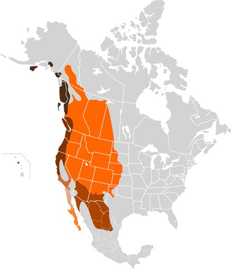 File Odocoileus Hemionus Map Svg Wikimedia Commons