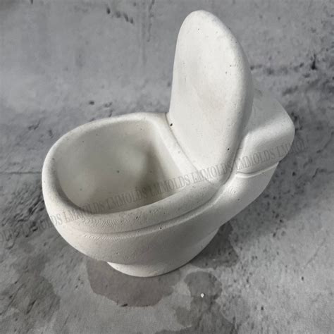 Toilet Mold Toilet Bowl Succulent Flower Pot Mold Ashtray Pen - Etsy