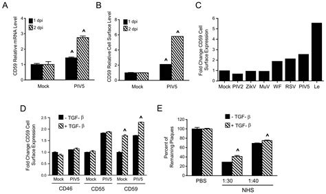 Viruses Free Full Text Relative Contribution Of Cellular Complement