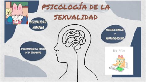 Psicología de la Sexualidad by Luz Narvaez Mamani on Prezi