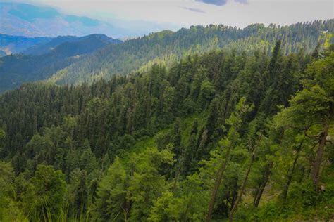 "Neelum Valley" Images – Browse 688 Stock Photos, Vectors, and Video ...