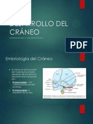 Manual De Proyecciones Radiol Gicas Versi N Compartida Pdf