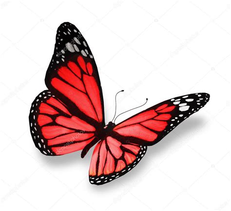 Mariposa Roja Dibujo