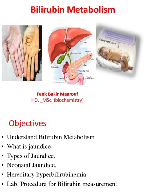 Bilirubin Metabolism: Hd. - Msc. (Biochemistry) | PDF | Liver ...