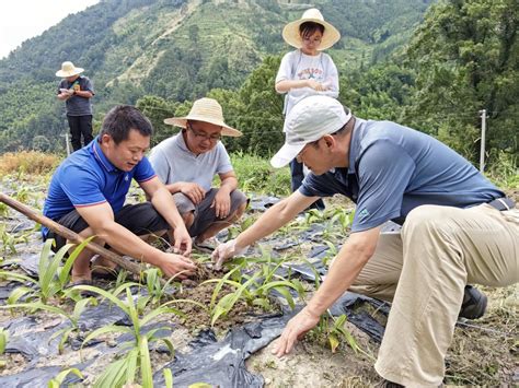 【中国网】发扬“自找苦吃”精神，践行青春使命 ——桂林理工大学化学生物科普“兴农”实践团 赴广西灌阳大源村社会实践活动 欢迎访问桂林理工大学