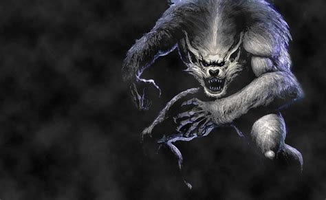 100 Werewolf Wallpapers Wallpapers