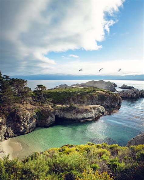 First Timers Guide To Point Lobos State Natural Reserve — Flying Dawn