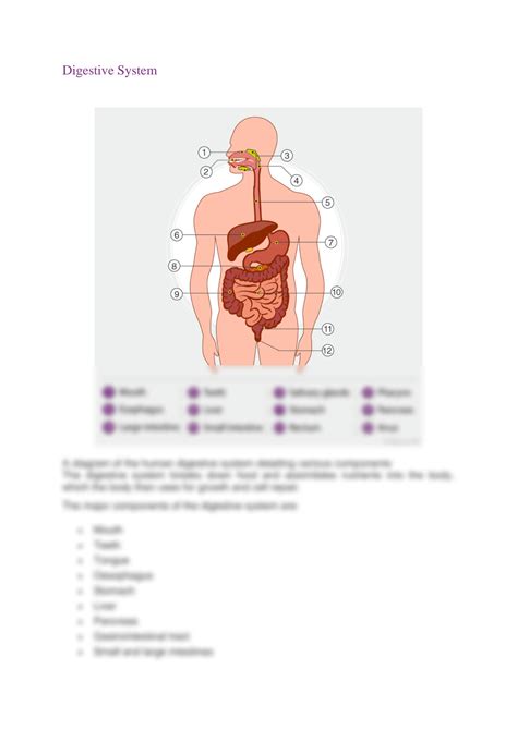 SOLUTION: Human body parts and their functions - Studypool